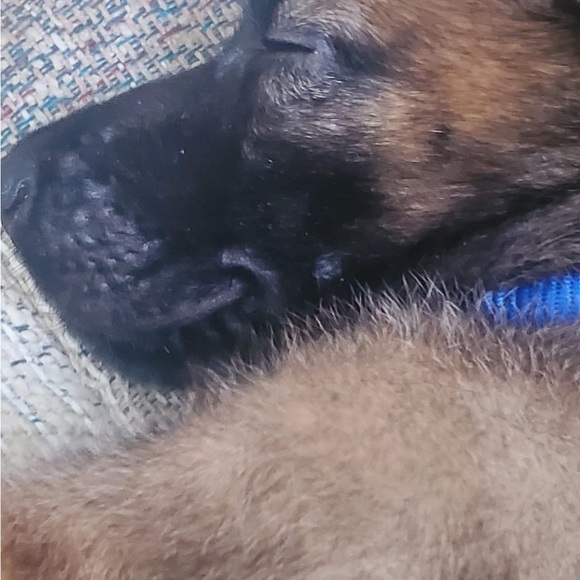 Meet your Posher, Jennifer - Picture 9 of 10